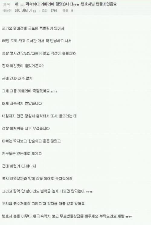 디시인의 속도위반