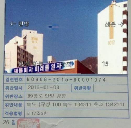 디시인의 속도위반