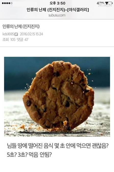 땅에 떨어진 음식을 먹어도 되나요?