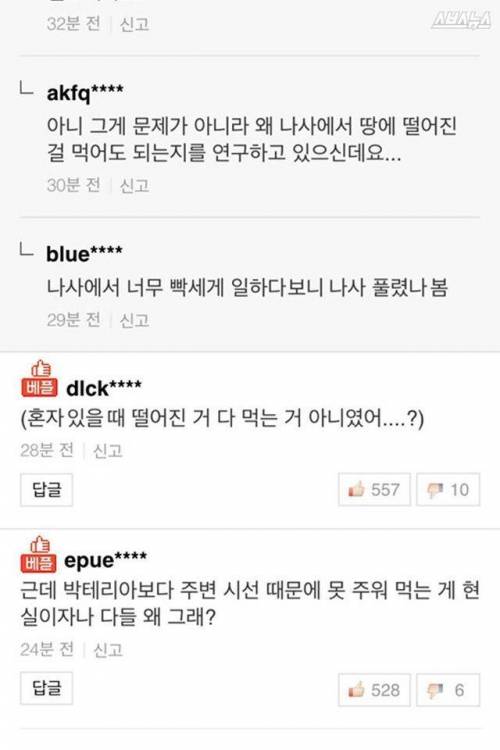 땅에 떨어진 음식을 먹어도 되나요?