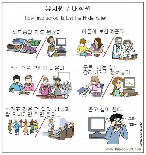 유치원과 대학원 공통점