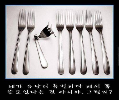 포크의 일침.jpg