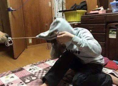 니새끼 목줄도 끌어보자꾸나