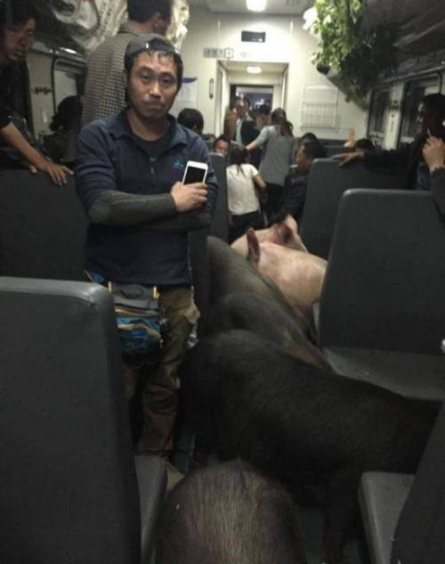 대륙의 기차여행.jpg
