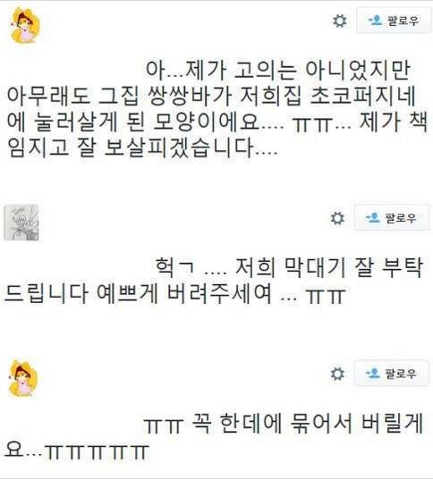 초코퍼지와 쌍쌍바의 뒤바뀐 운명