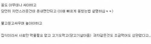 이경규의 개 키우는 방법.jpg
