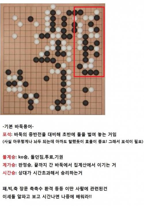 초보자를 위한 바둑 보는 법