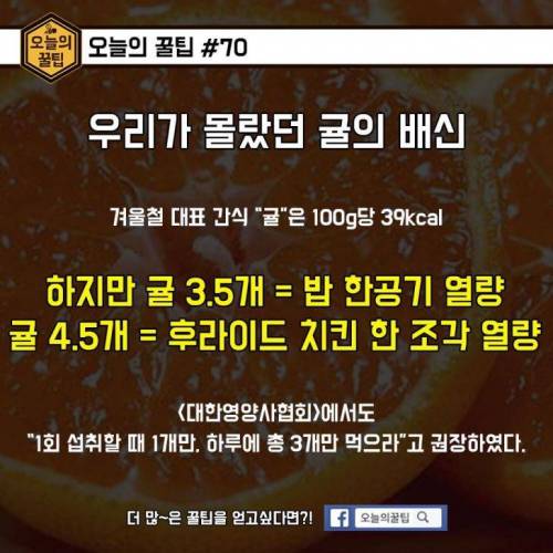 우리가 몰랐던 귤의 배신.jpg