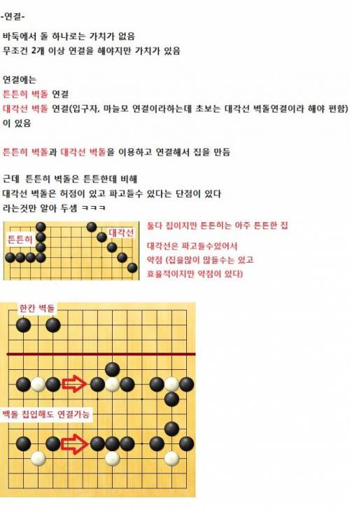 초보자를 위한 바둑 보는 법