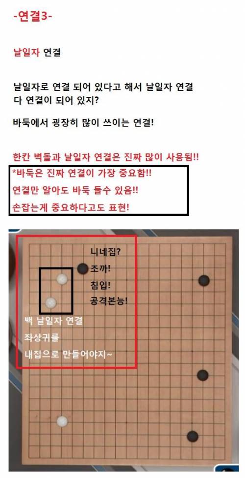 초보자를 위한 바둑 보는 법