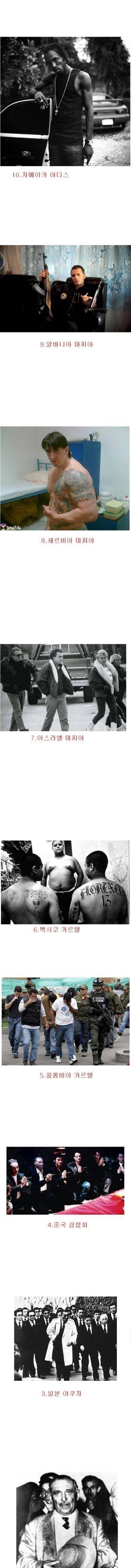 세계 10대 조직들.jpg