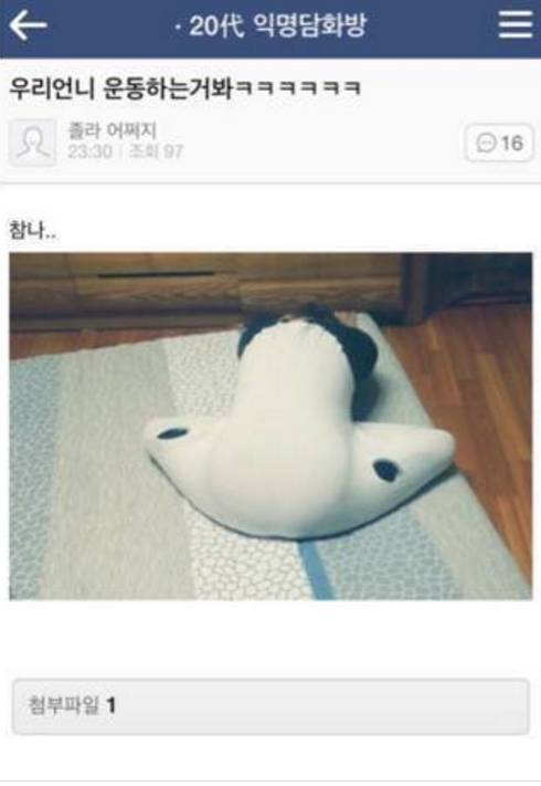 익게에 등장한 오카리나녀