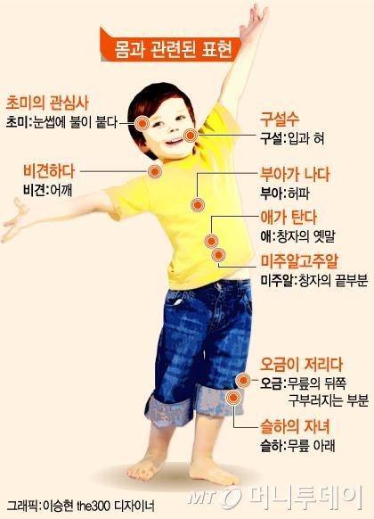 몸과 관련된 표현.jpg