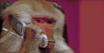 엄마한테 전화로 혼날때.gif