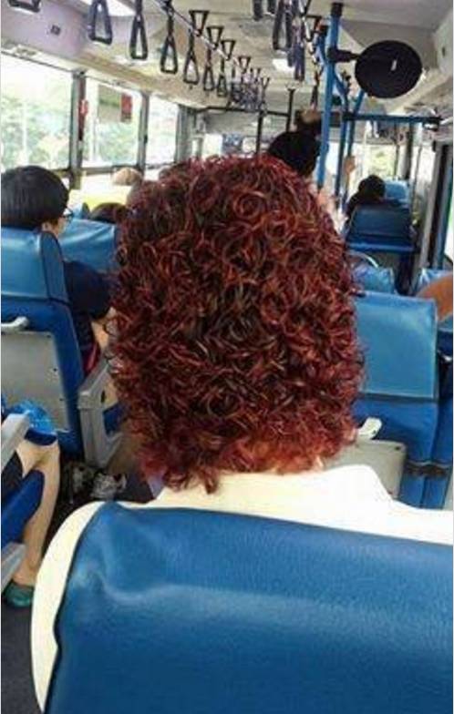 버스에서 본 짜파게티.jpg