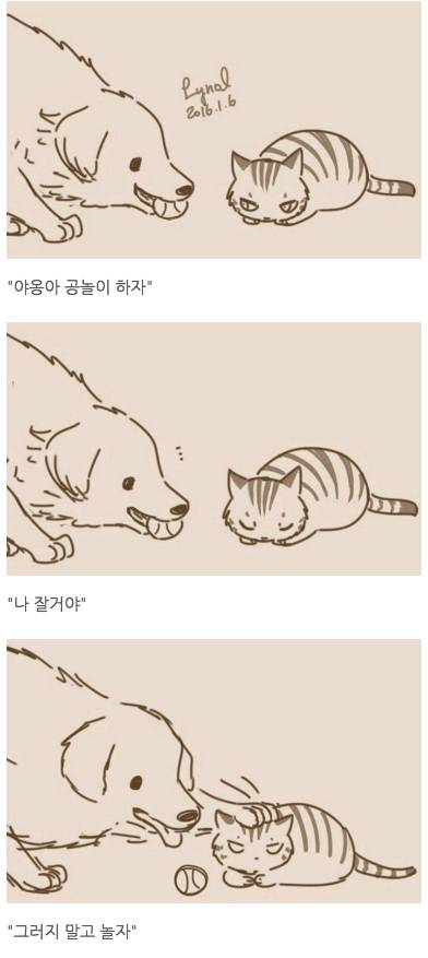 고양이와 강아지가 친구가 될수 없는 이유