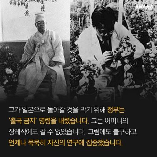 제주도 감귤의 비밀.jpg