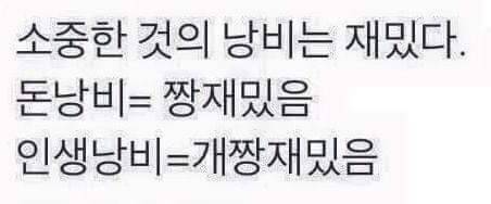 소중한 것의 낭비는 재미있다