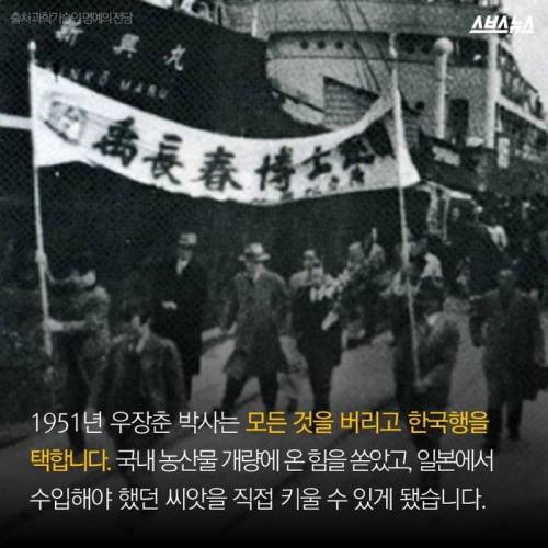 제주도 감귤의 비밀.jpg
