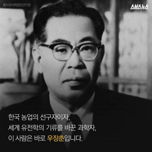 제주도 감귤의 비밀.jpg