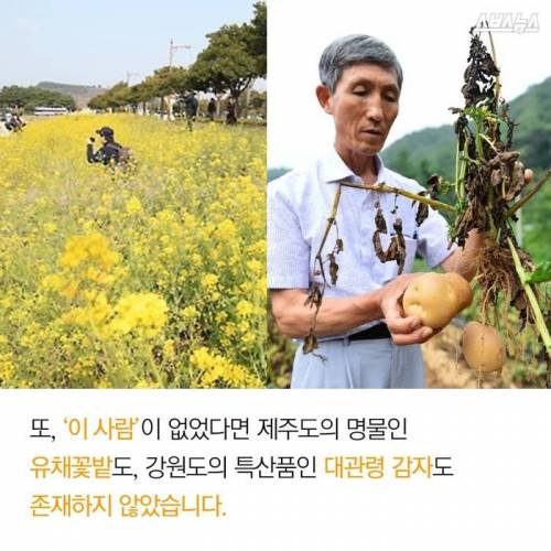 제주도 감귤의 비밀.jpg