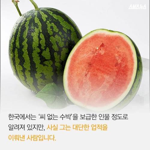 제주도 감귤의 비밀.jpg