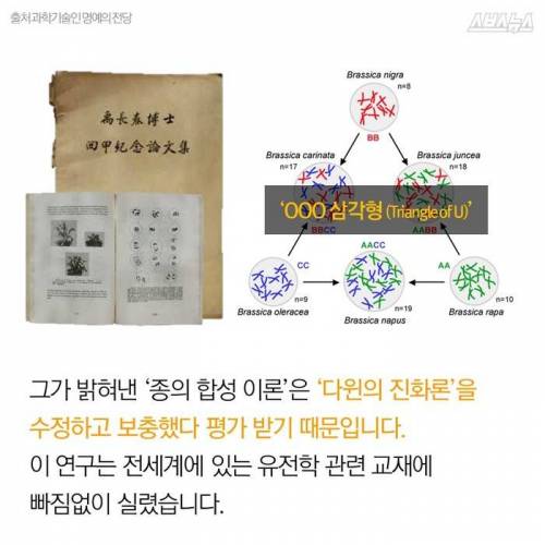 제주도 감귤의 비밀.jpg