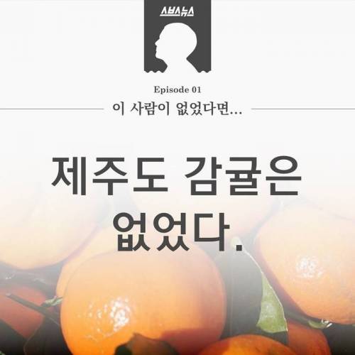 제주도 감귤의 비밀.jpg