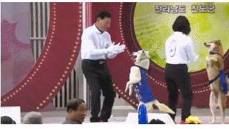 저번주자 전국노래자랑 진도편.jpg
