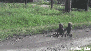 엄마 정신 혼미.gif