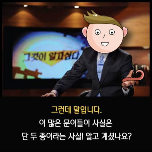 시장 문어다리의 정체