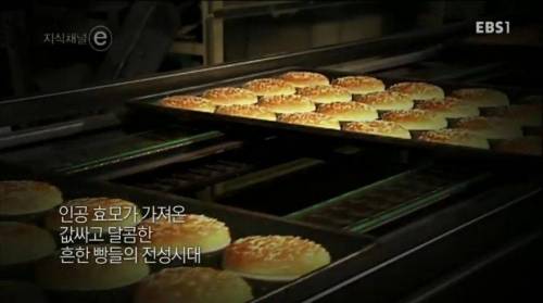 희한한 빵집.e