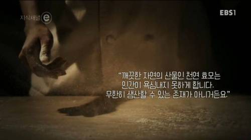 희한한 빵집.e