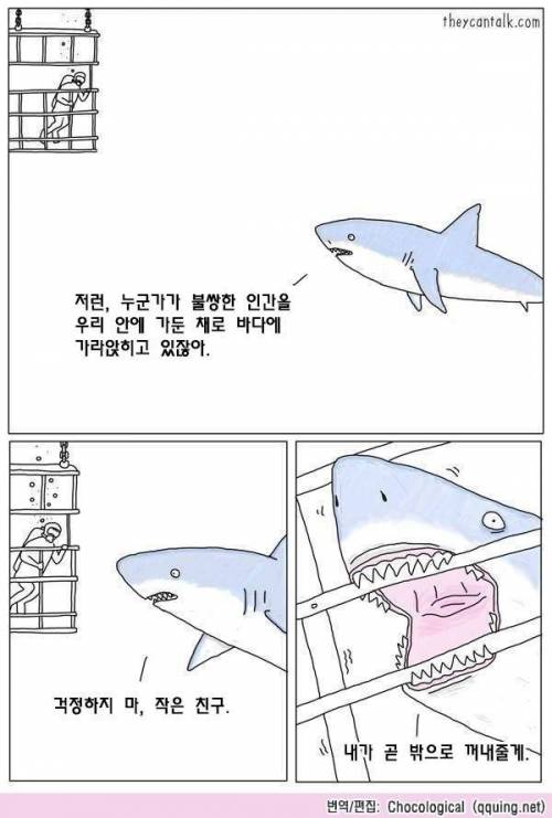 인간을 구하는 상어