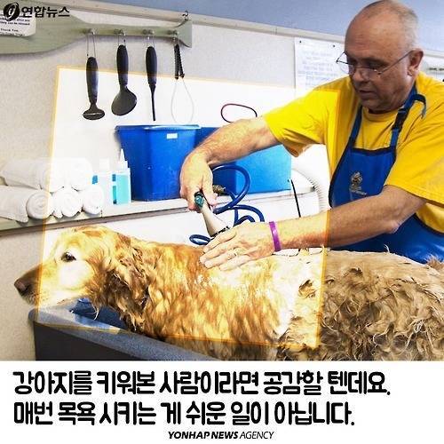 강아지 세탁기.jpg