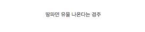 경주의 흔한 아파트.jpg