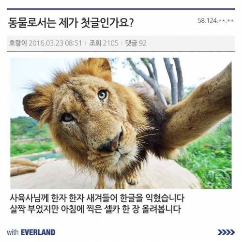 에버랜드에 간 허갤러들.jpg