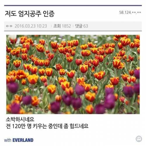 에버랜드에 간 허갤러들.jpg