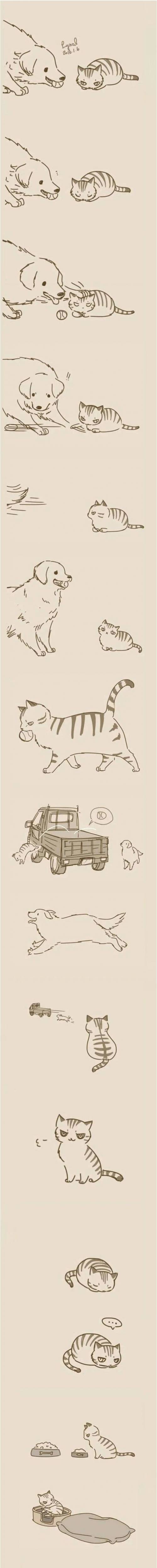 친근한 개와 츤냥이.jpg