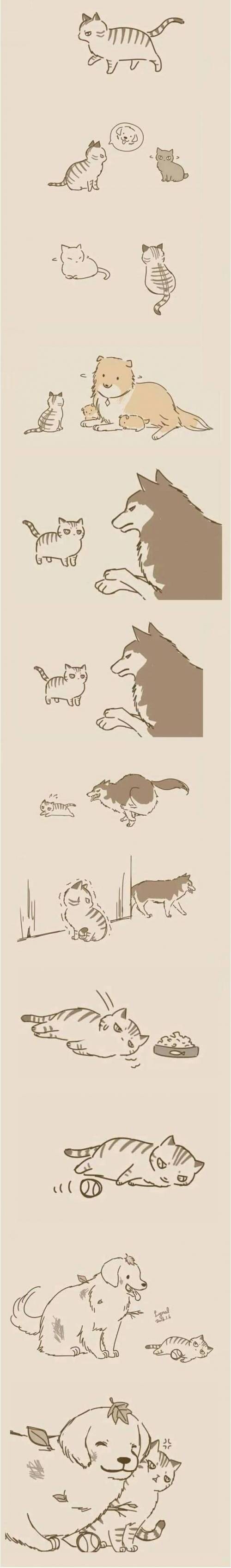 친근한 개와 츤냥이.jpg