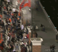 홈런볼에 대한 집념.gif