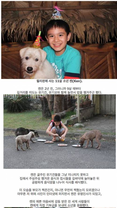 9살 소년이 만든 유기동물보호소