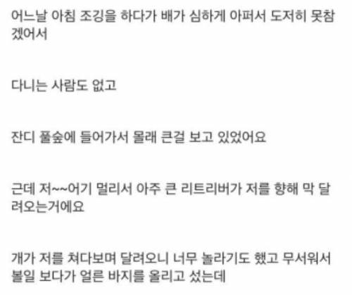 개주인의 오해.jpg