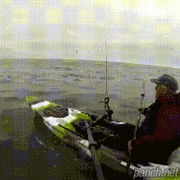 낚시 중 바다 생명체와의 조우.gif