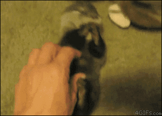 헤헤헤헿.gif