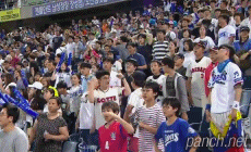 롯데팬의 패기.gif