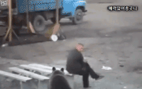 곰 만났을때 새로운 대처법.gif