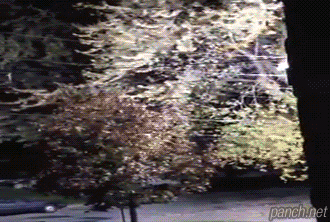 라이트닝 볼트.gif