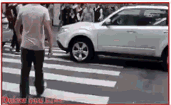 정지선..gif