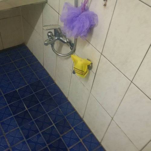 우리집 화장실에 피카츄나타남.jpg